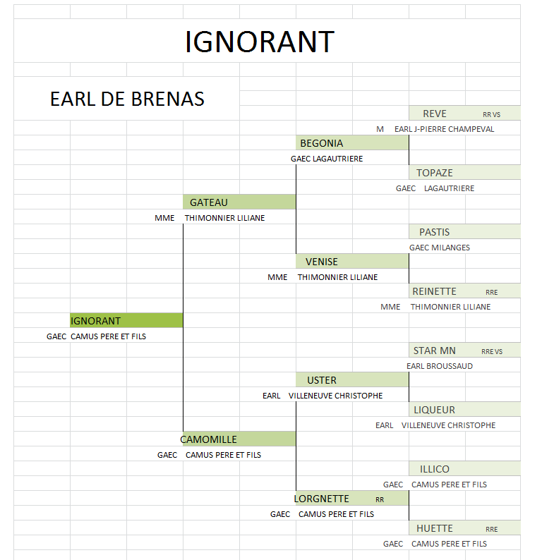 Ignorant genealogie