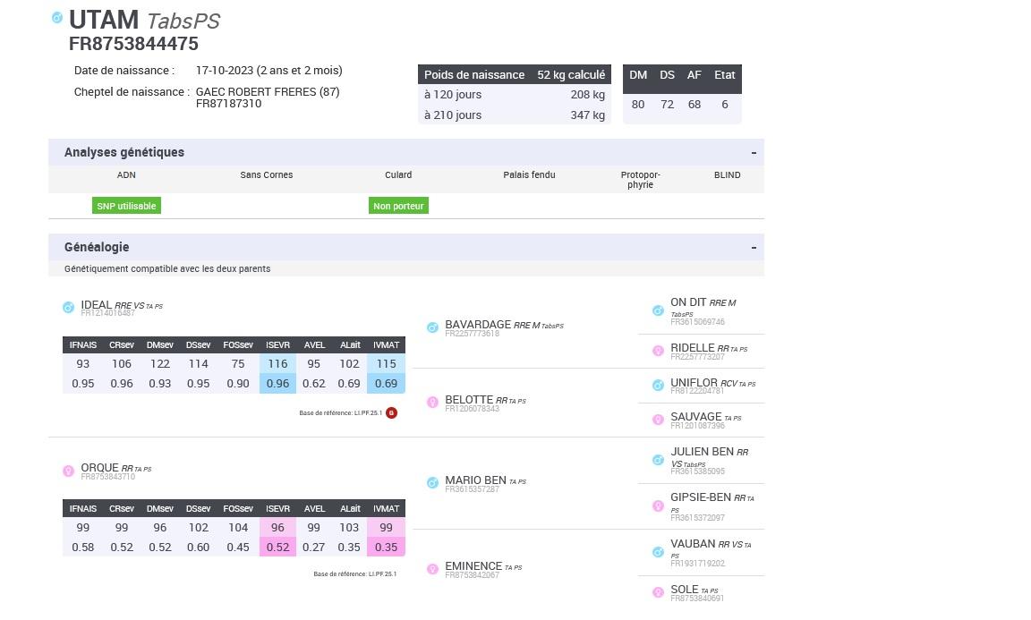 Utam fils de ideal rrevs